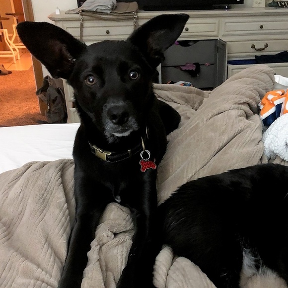 Meet your Posher, Jessica - Picture 4 of 4